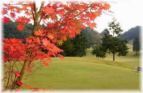 秋のゴルフ」